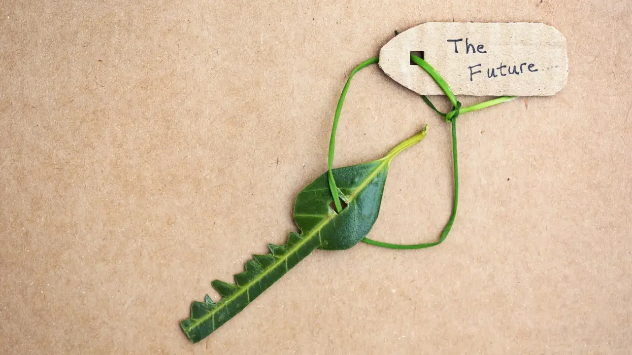 Koti ja puutarha artikkelikuva