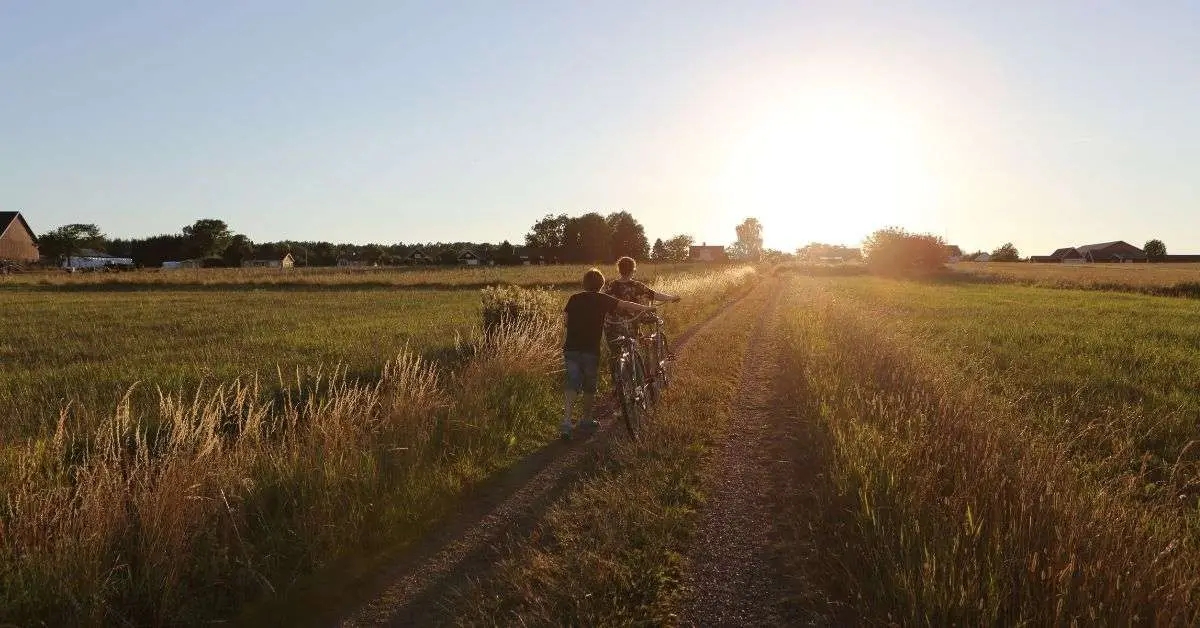 kuntamarkkinoiden_momentum