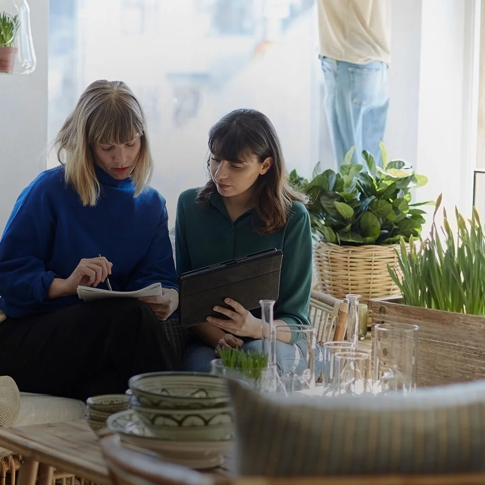 Kasvupalvelu on yrityksesi kasvuun tähtäävä markkinointipalvelu